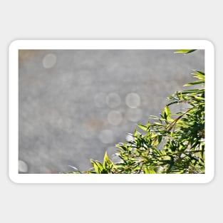 bamboo leaves border Sticker